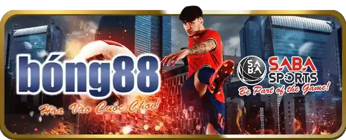 Cá cược Thể thao tại VK88